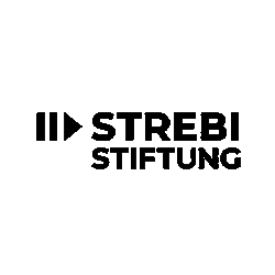 Strebi Stiftung logo
